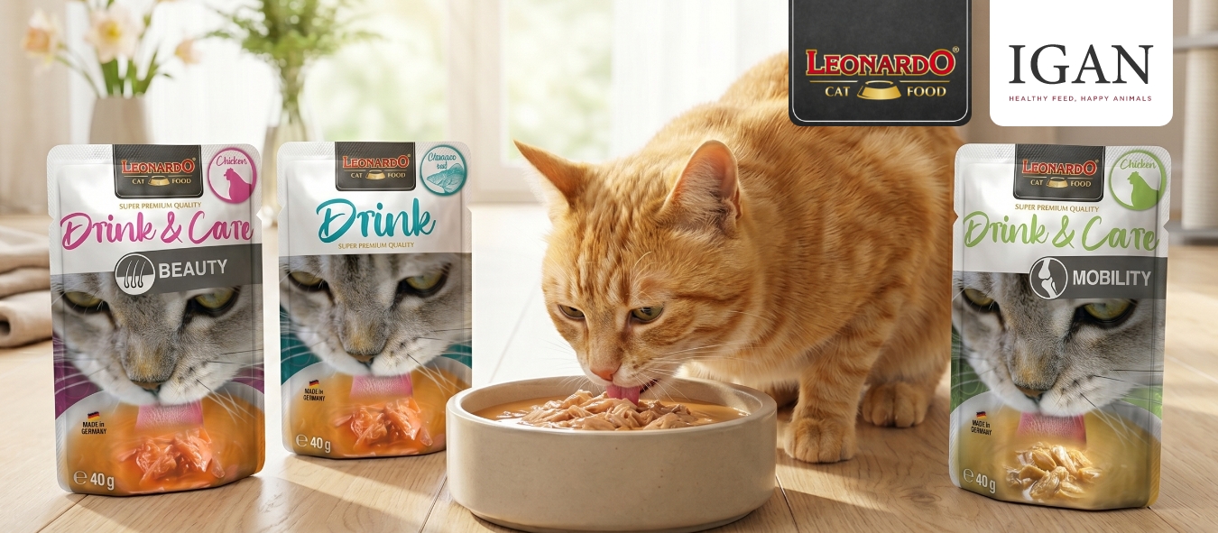 Описание изображения